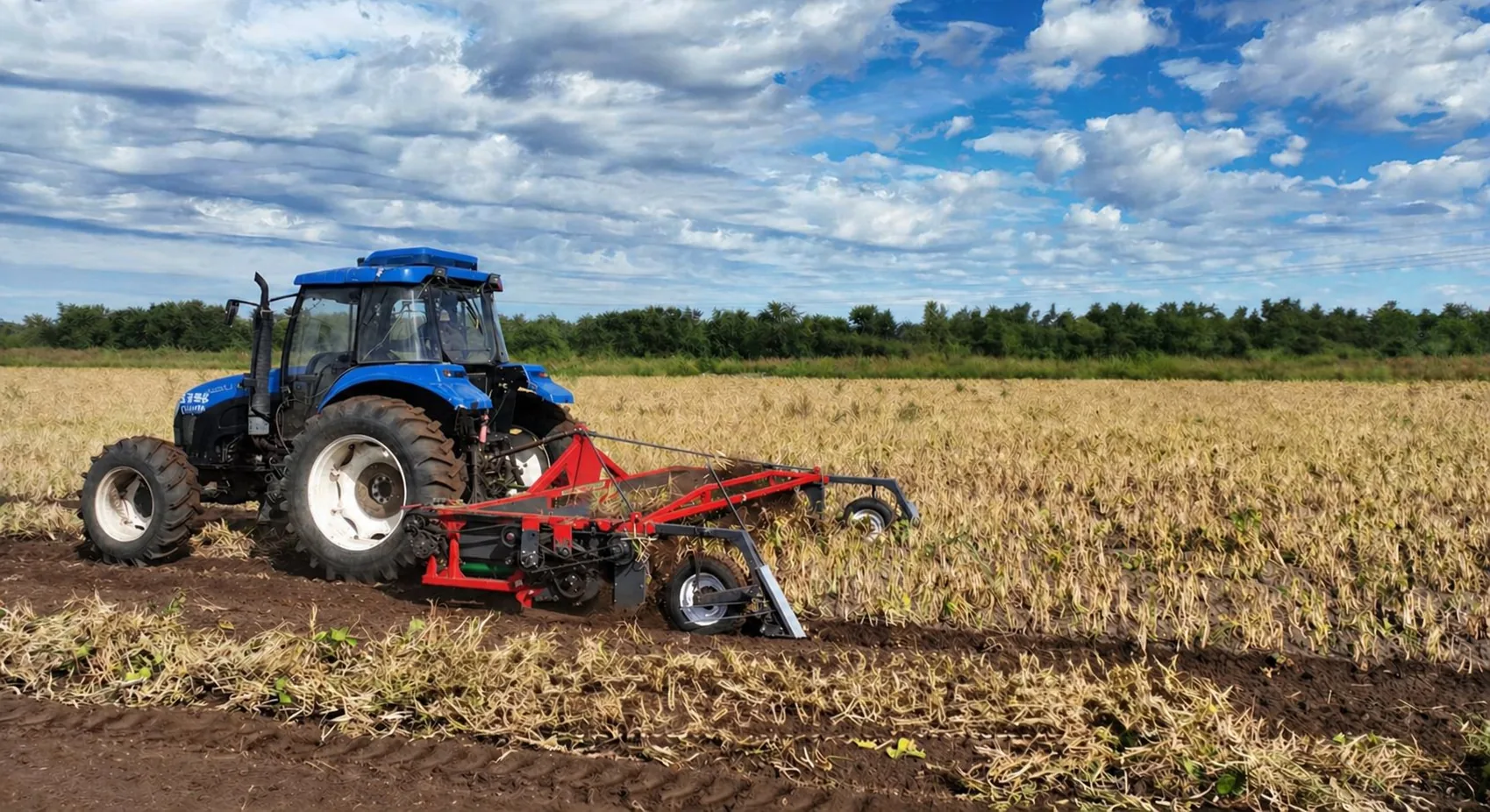 4BYH-1.3 Kidney Bean Puller application