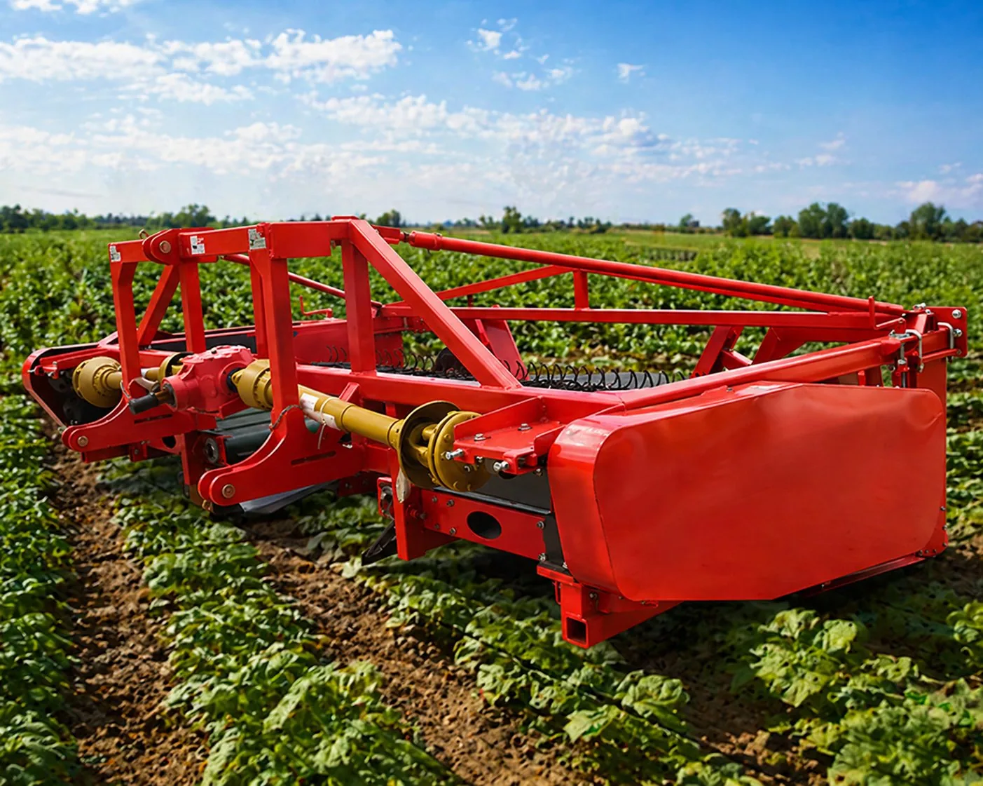 4BYH-3.25 Kidney Bean Harvester application 1