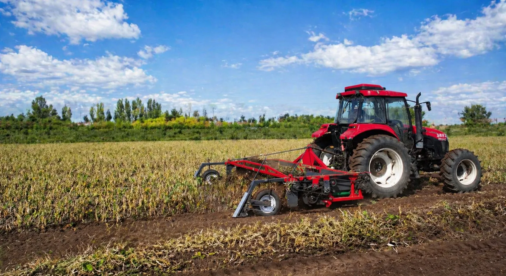 kidney bean harvester application 1