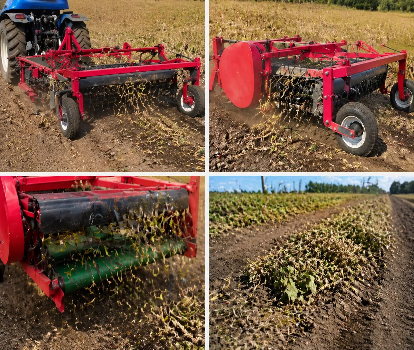 kidney bean harvester application 2